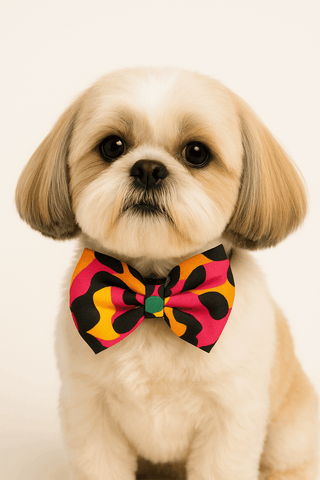 PawTaaka Pop Splash Bowtie – Funky Vibe Edition