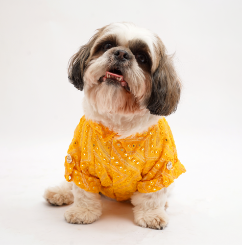 PawTaaka Marigold Yellow Dog Kurta – Golden Sequin & Mirror Work Celebration