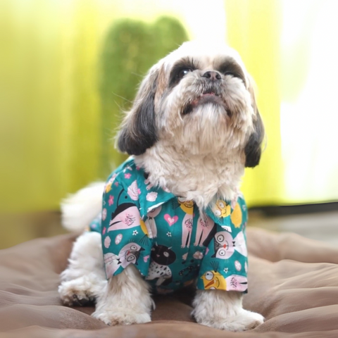PawTaaka Kitty Doodles Dog Shirt – Teal Meow Edition