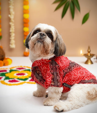 PawTaaka Royal Red Bandhani Dog Kurta – Festive Ethnic Collection