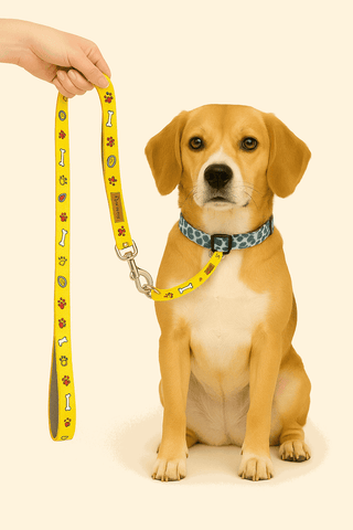 PawTaaka Yellow Snack Time Dog Leash