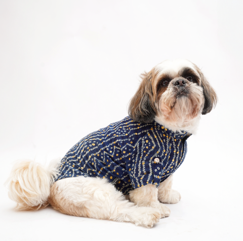 PawTaaka Royal Navy Blue Dog Kurta – Leheriya Festive Vibes