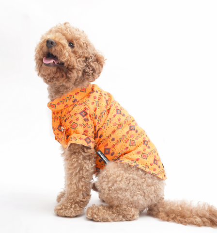 PawTaaka Mustard Yellow Dog Kurta – Traditional Motif Festive Celebration