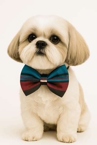 PawTaaka Retro Stripes Bowtie – Classic Cool Tones