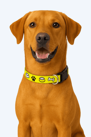 PawTaaka Emoji Munch Dog Collar