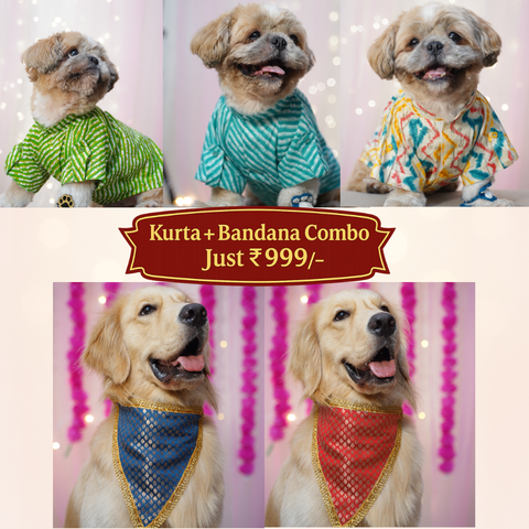 Festive Glow Combo – 1 Kurta + 1 Bandana @ ₹999