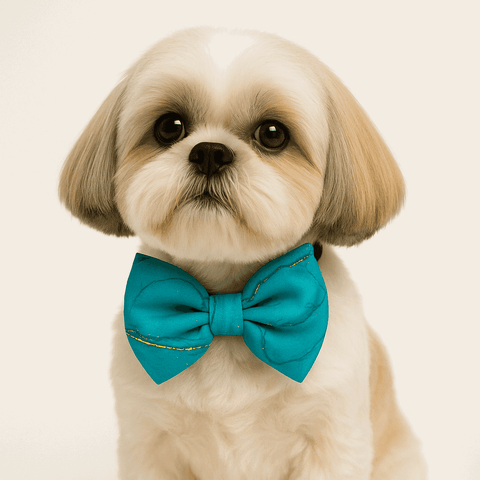 PawTaaka Blue Marble Bowtie – Chill Vibes Only