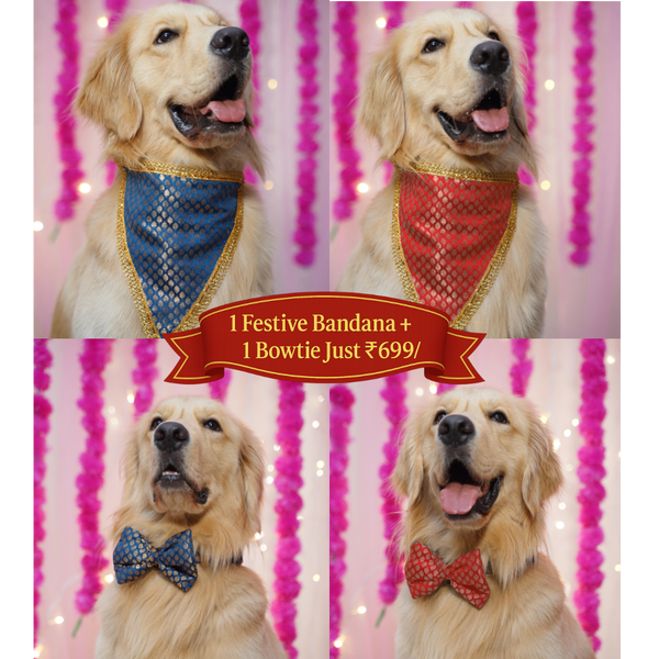 PawTaaka Festive Bowtie & Bandana Style Set – Mix & Match Your Look
