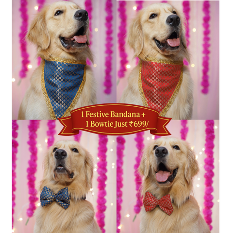 PawTaaka Festive Bowtie & Bandana Style Set – Mix & Match Your Look