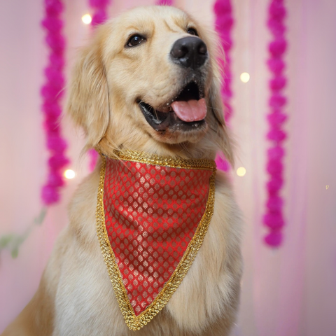 PawTaaka Festive Brocade Dog Bandana – Available in Red or Blue