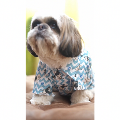 PawTaaka ZigZag Vibes Dog Shirt – Icy Blue Paws Edition