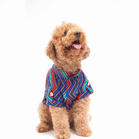 PawTaaka Colorful Ethnic Dog Kurta – Festive Fusion Wear