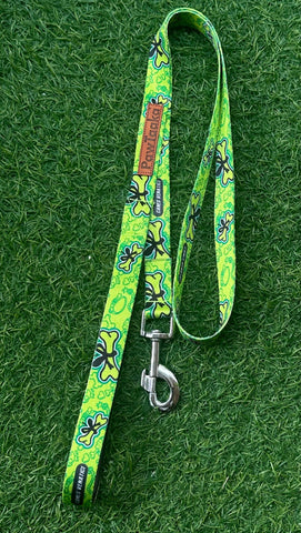 PawTaaka Green Pawtropolis Dog Leash