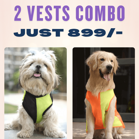 Neon Pulse Dog Vests Combo – Set of 2 for ₹899