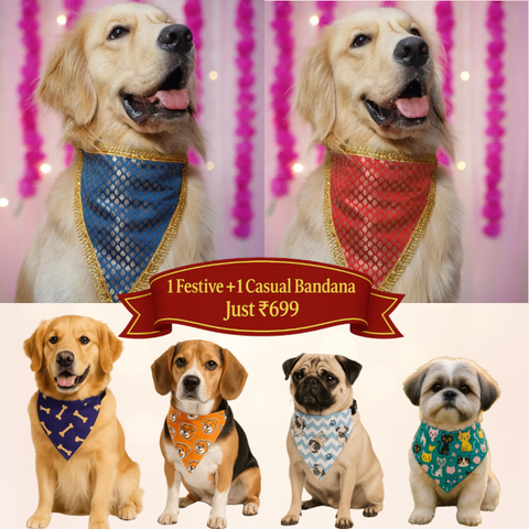 Style Switch-Up Bandana Duo – 1 Festive + 1 Everyday @ ₹699