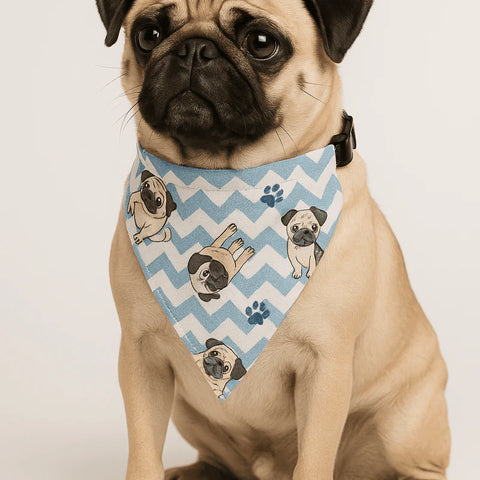 PawTaaka Everyday Dog Bandanas – Soft, Stylish & Perfect for Daily Struts