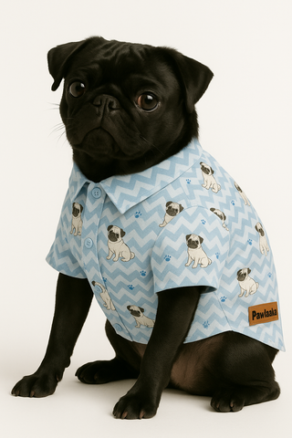 PawTaaka Dog Shirt – Pick Your Print from 4 Trendy Designs