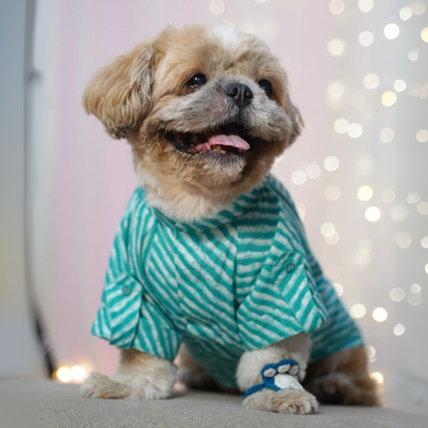 PawTaaka Blue Leheriya Dog Kurta – Festive Vibes