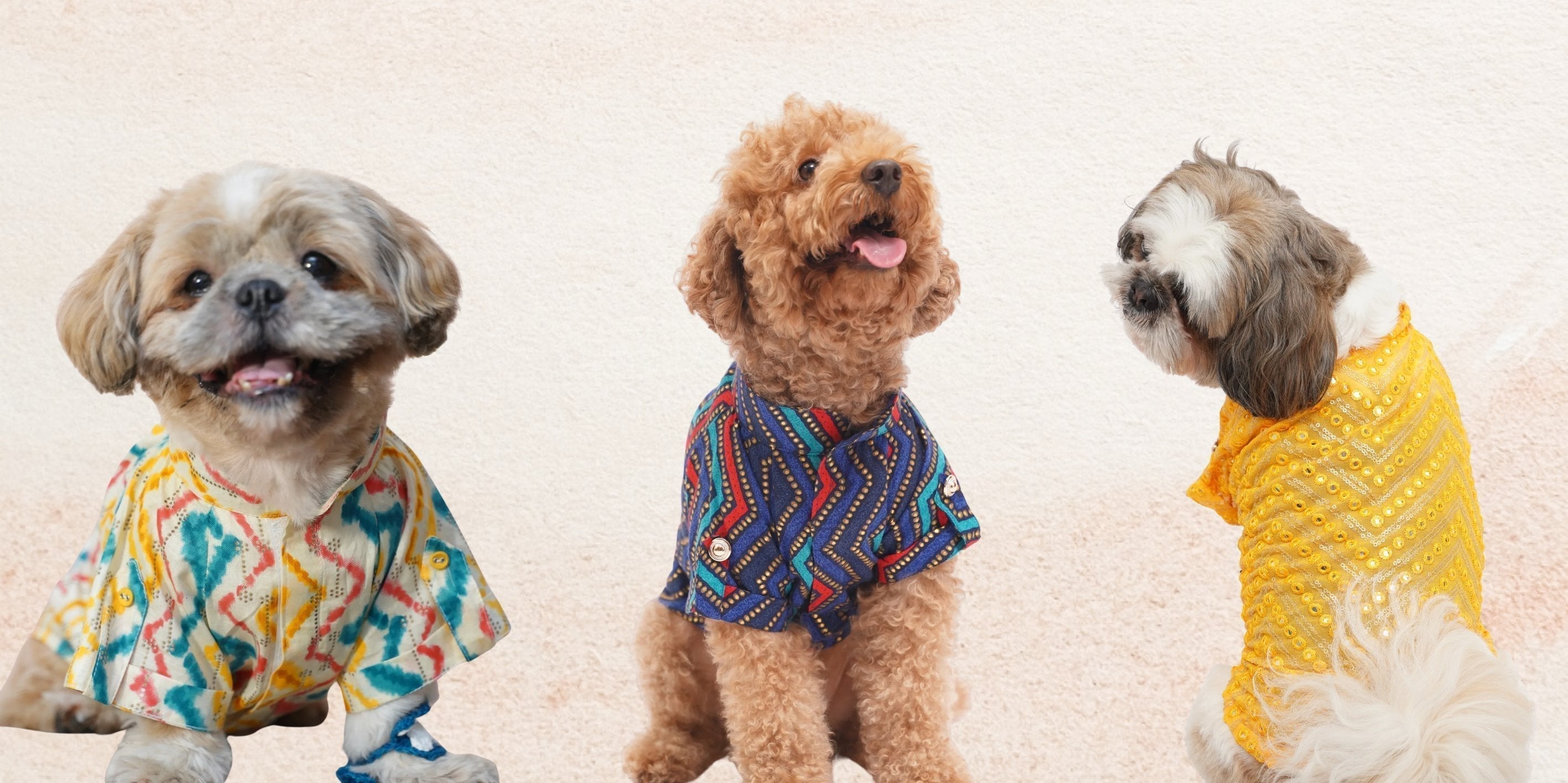Top 10 Dog Kurtas for Festive Occasions