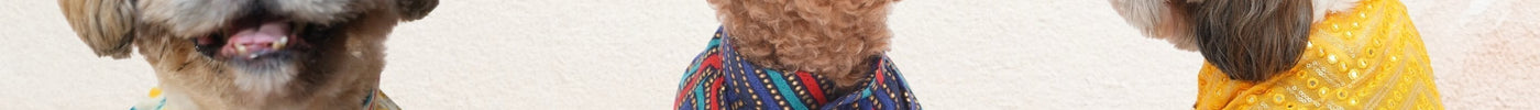 Top 10 Dog Kurtas for Festive Occasions