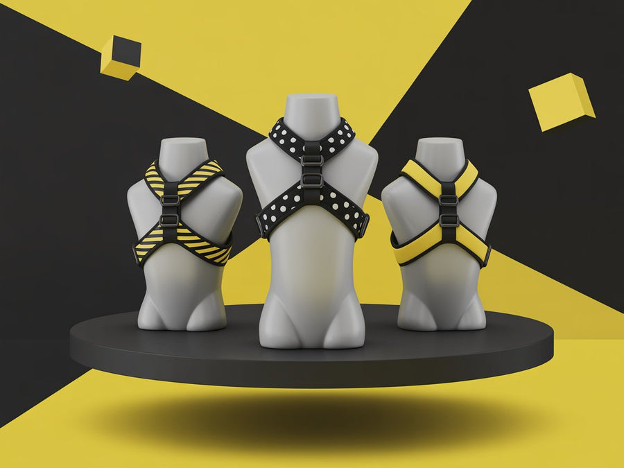 Stylish H-harnesses for dogs in bold black and yellow designs.