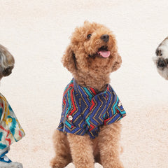 Collection image for: Dog Kurtas