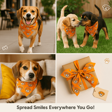 Dogs wearing PawTaaka Orange Pup Face Dog Bandana in various settings, showcasing its fun design and gift-ready packaging.