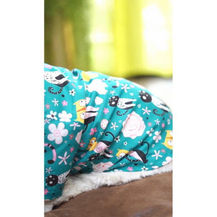 PawTaaka Kitty Doodles Dog Shirt – Teal Meow Edition