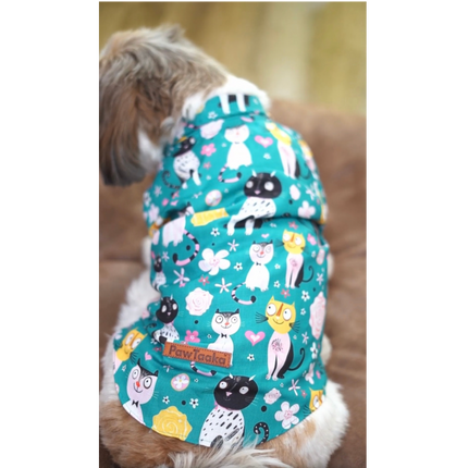PawTaaka Kitty Doodles Dog Shirt – Teal Meow Edition