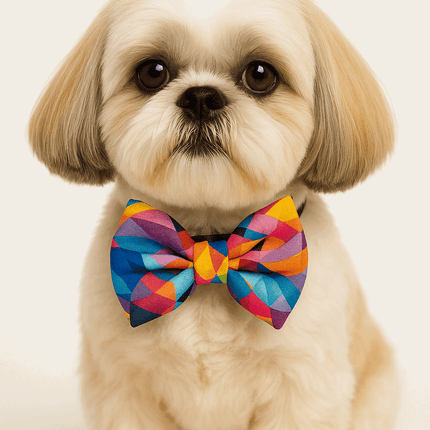 PawTaaka Rainbow Prism Bowtie – Multicolor Pop Edition