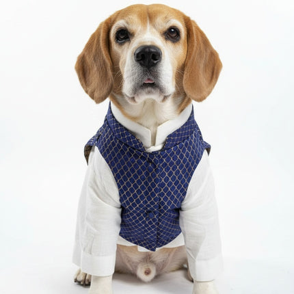 PawTaaka Luxe Reversible Brocade Koti & Cotton Kurta Set for Dogs