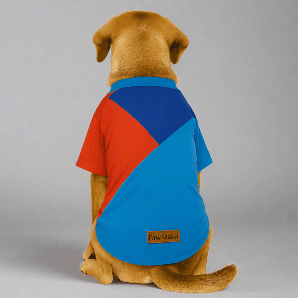 Colorblock Dog T-Shirt in red, blue & light blue by PawTaaka, worn by a dog. Comfy cotton tee ideal for pet fashion and casual wear.