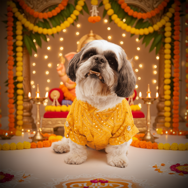 PawTaaka Yellow Dog Kurta – Golden Sequin & Mirror Work