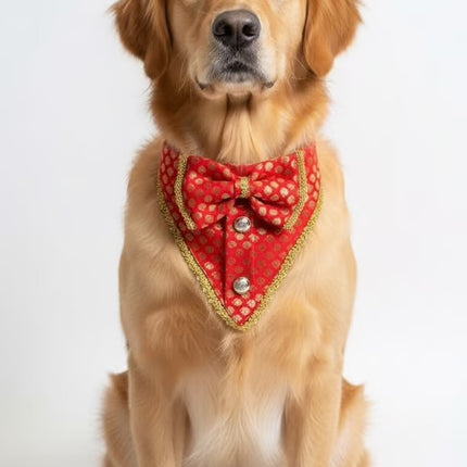 PawTaaka Red Festive Glam Box | Bow Collar, Bandana & Leash Set for Dogs & Cats
