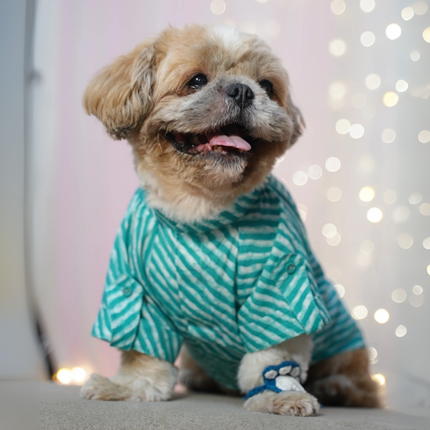 Dog Leheriya Kurta Combo Pack of 2 - Indian Festive Pet Outfit