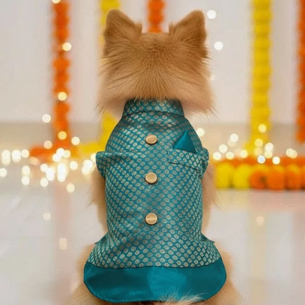 PawTaaka Green Ethnic Dog Kurta – Festivals & Wedding Outfit for Dogs