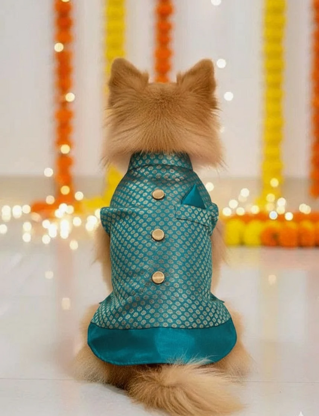 PawTaaka Green Ethnic Dog Kurta – Festivals & Wedding Outfit for Dogs