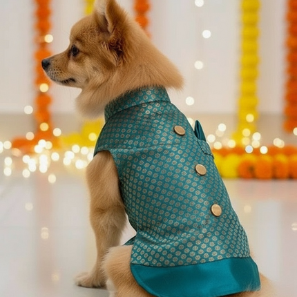 PawTaaka Green Ethnic Dog Kurta – Festivals & Wedding Outfit for Dogs