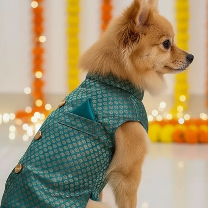 PawTaaka Green Ethnic Dog Kurta – Festivals & Wedding Outfit for Dogs