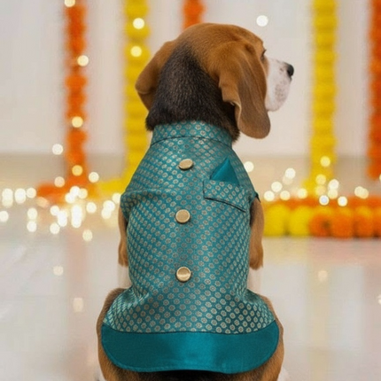 PawTaaka Green Ethnic Dog Kurta – Festivals & Wedding Outfit for Dogs