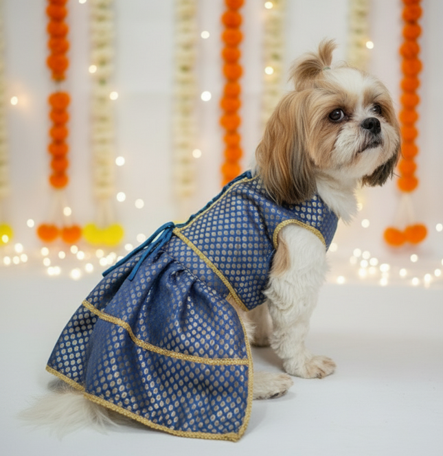 PawTaaka Royal Blue Brocade Pet Lehenga –  Wedding & Festive Dress for Dogs