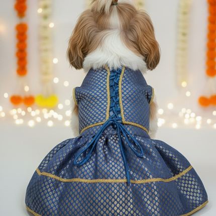 PawTaaka Royal Blue Brocade Pet Lehenga –  Wedding & Festive Dress for Dogs