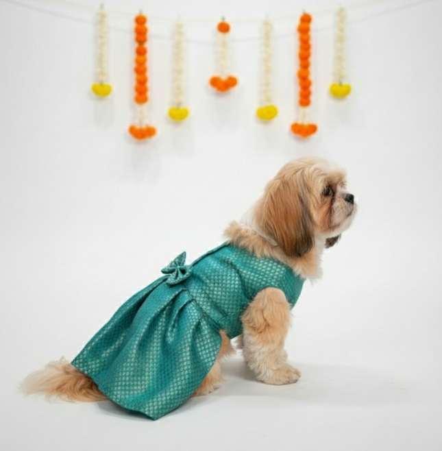 PawTaaka Teal Brocade Bow Dress for Dogs - Festive & Ethnic Wear