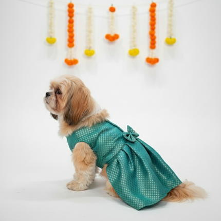 PawTaaka Teal Brocade Bow Dress for Dogs - Festive & Ethnic Wear