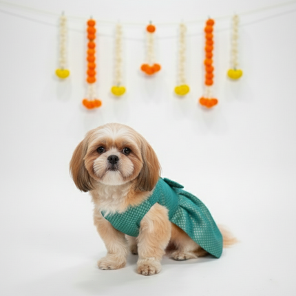 PawTaaka Teal Brocade Bow Dress for Dogs - Festive & Ethnic Wear