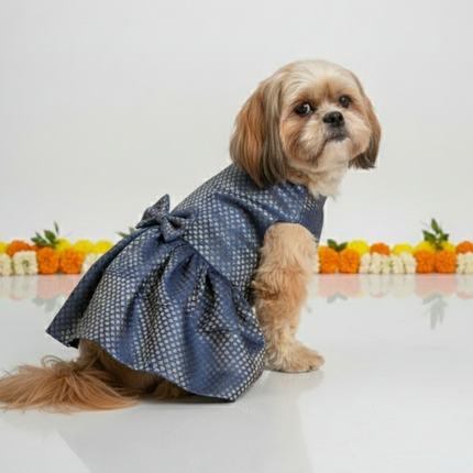 PawTaaka Blue Brocade Bow Dress for Dogs - Festive & Ethnic Wear