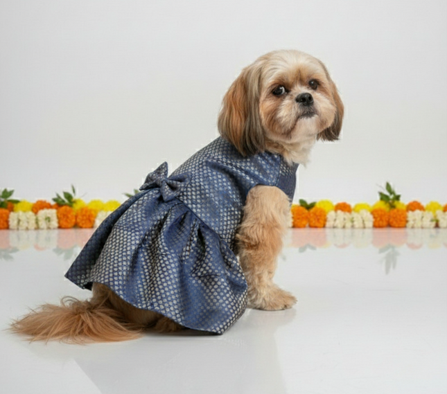 PawTaaka Blue Brocade Bow Dress for Dogs - Festive & Ethnic Wear