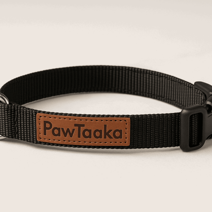 Adjustable PawTaaka Basics Solid Strap Collar – Midnight Black with quick-release buckle and sturdy D-ring, perfect for secure dog walks.