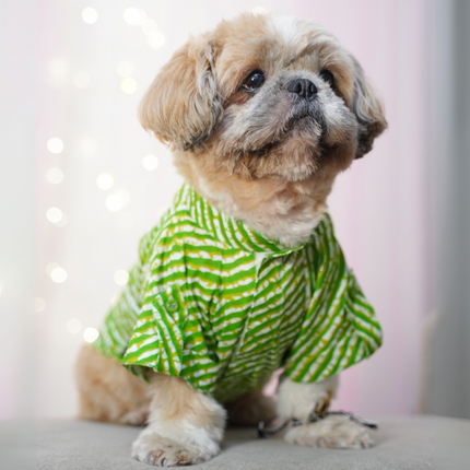 Dog Leheriya Kurta Combo Pack of 2 - Indian Festive Pet Outfit