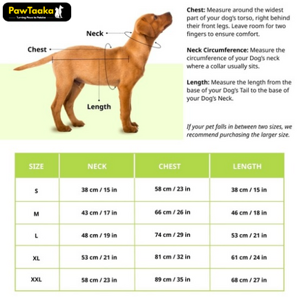 Royal Blue Golden Zigzag Dog Dress – Festive & Wedding Celebration Wear